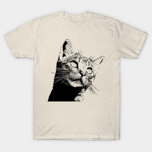 Cat cat cat T-Shirt